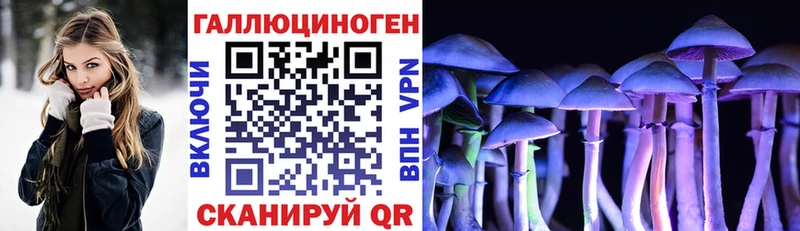 Галлюциногенные грибы GOLDEN TEACHER  цены   Клинцы 